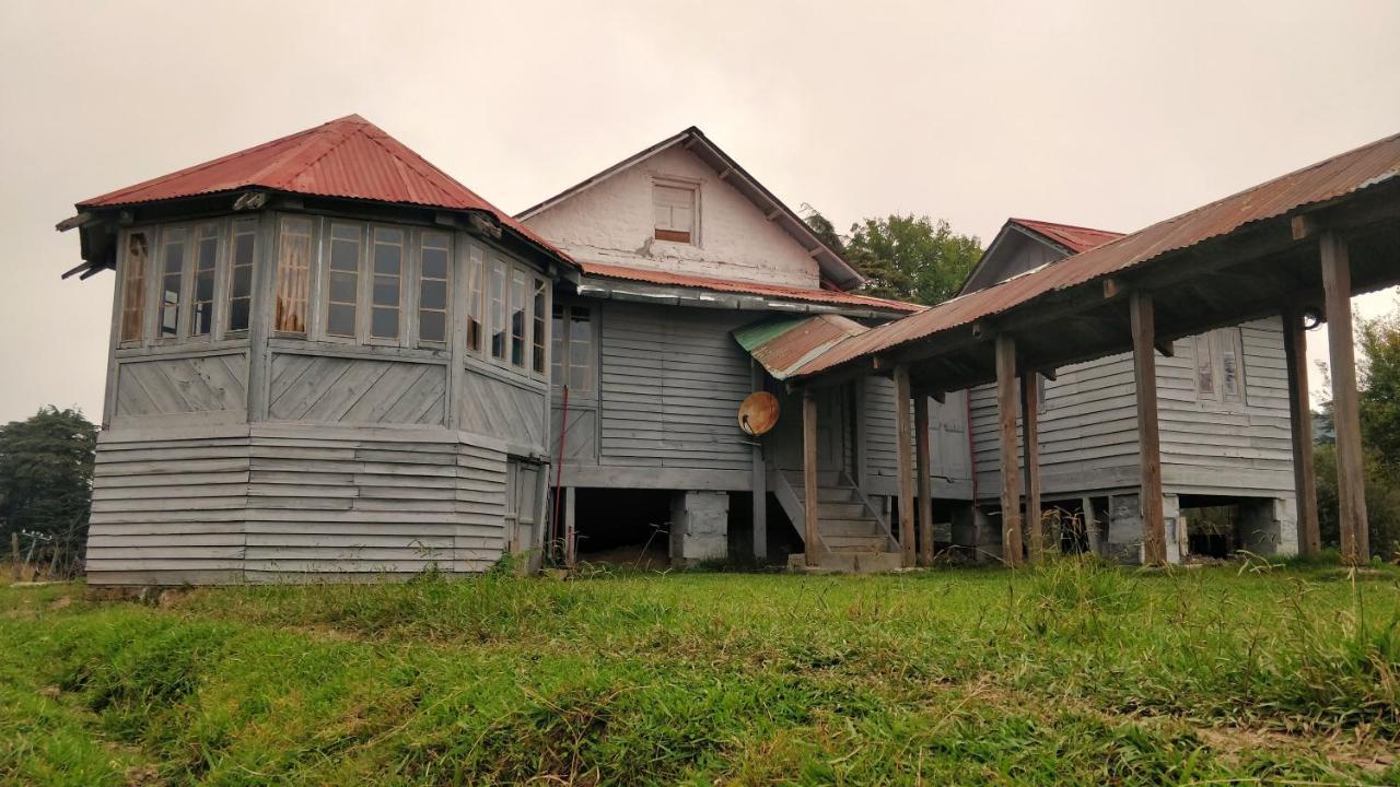 Black Bear Cottage Khajjiar Bagian luar foto