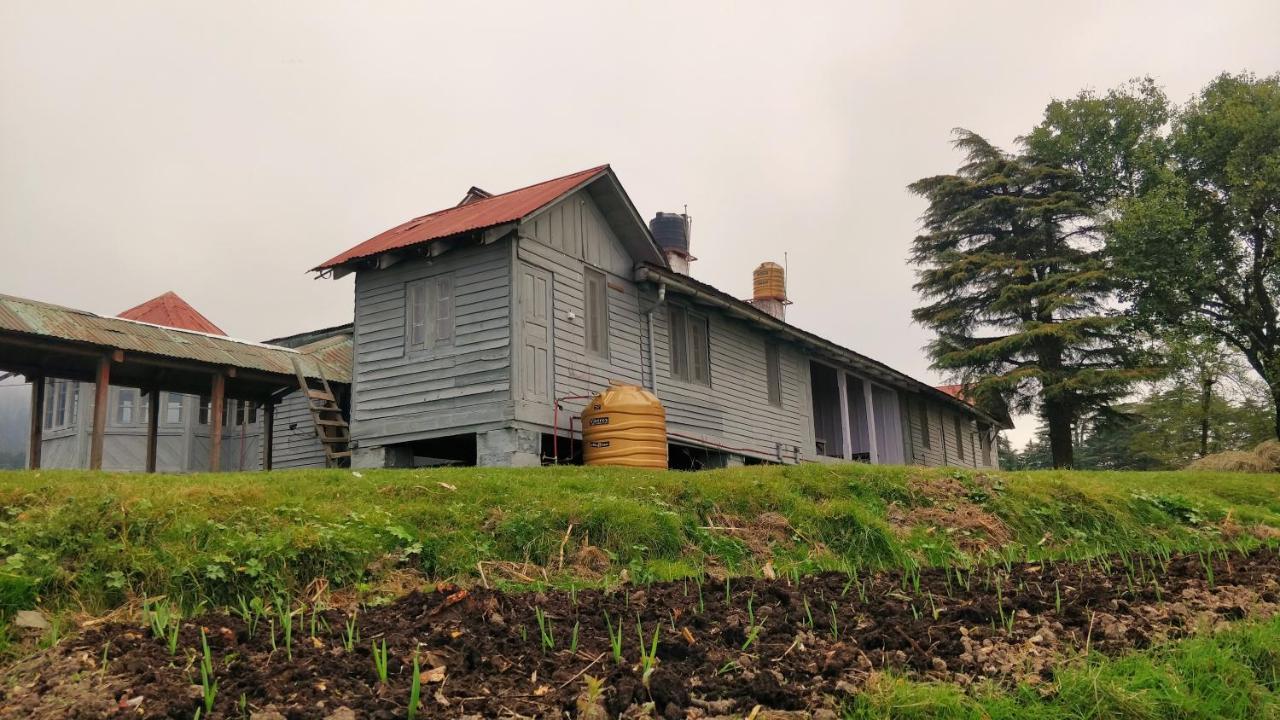Black Bear Cottage Khajjiar Bagian luar foto