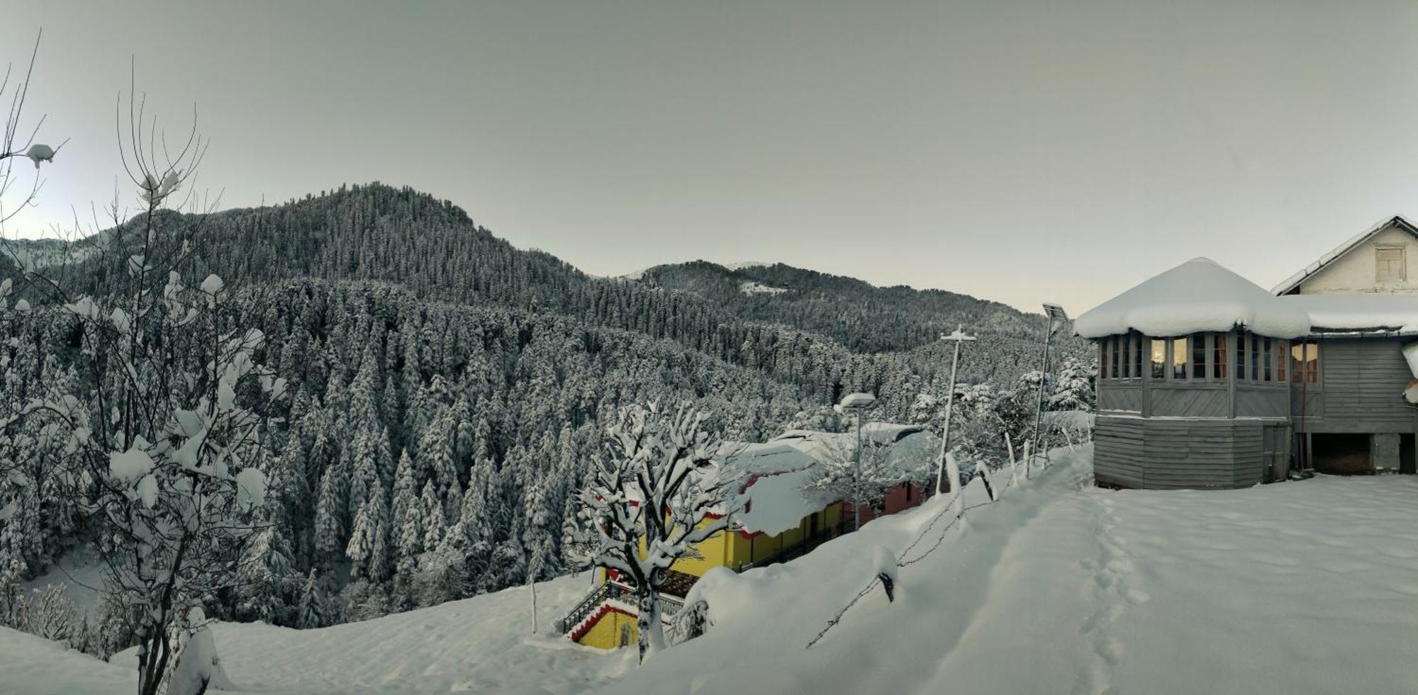 Black Bear Cottage Khajjiar Bagian luar foto